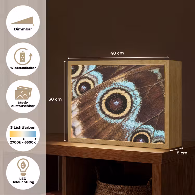 Vleugels - Vlinder - Blauw Light Box met batterij (Wandlamp) middel -USP_websiteoverzichtDE