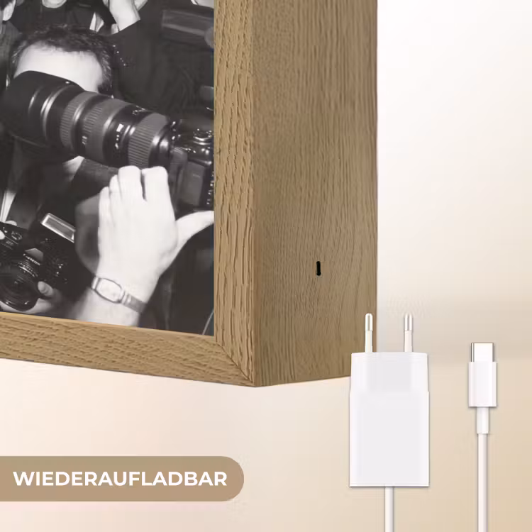 Fotografen - Menigte - Flitsers - Journalistiek Light Box met batterij (Wandlamp) middel -USP_websiteoplaadbaarDE