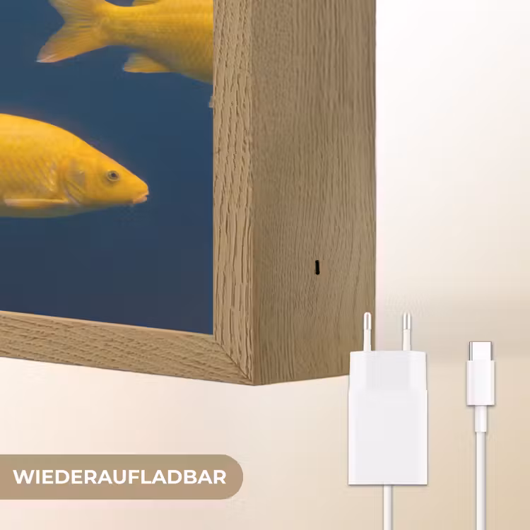 Vrouw - Vis - Water - Natuur - Geel Light Box met batterij (Wandlamp) middel -USP_websiteoplaadbaarDE