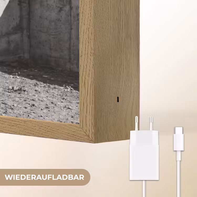 Vrouw - Paard - Artistiek Light Box met batterij (Wandlamp) middel -USP_websiteoplaadbaarDE