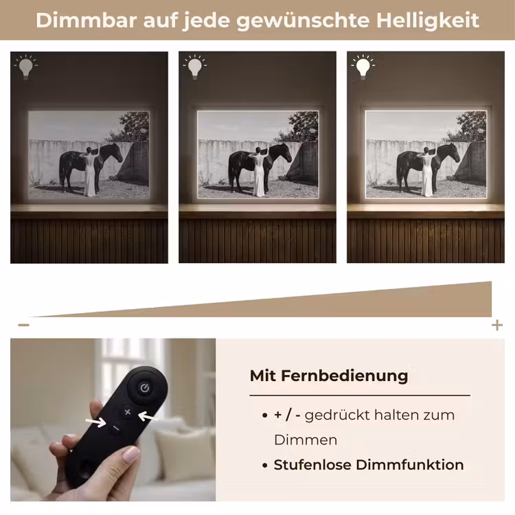 Vrouw - Paard - Artistiek Light Box met batterij (Wandlamp) middel -USP_dimbaarDE