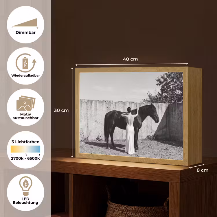 Vrouw - Paard - Artistiek Light Box met batterij (Wandlamp) middel -USP_websiteoverzichtDE