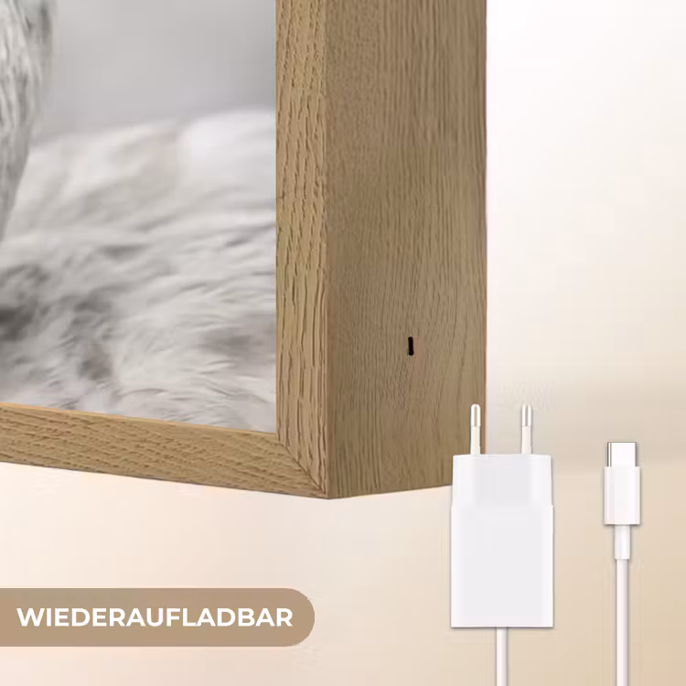 Vrouw - Zwaan - Wit Light Box met batterij (Wandlamp) middel -USP_websiteoplaadbaarDE