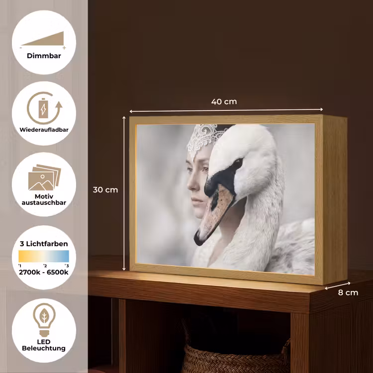 Vrouw - Zwaan - Wit Light Box met batterij (Wandlamp) middel -USP_websiteoverzichtDE