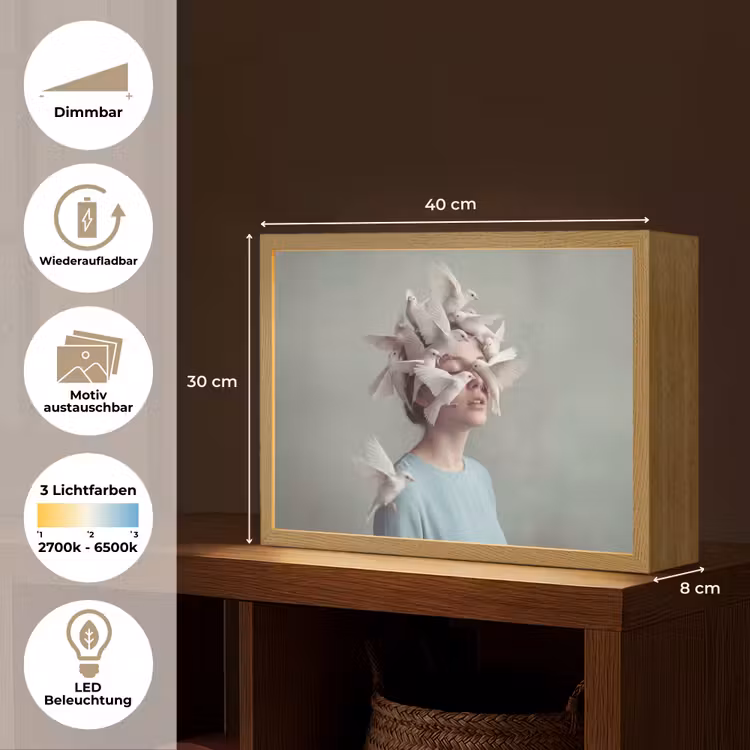 Vrouw - Vogels - Abstract - Modern - Wit Light Box met batterij (Wandlamp) middel -USP_websiteoverzichtDE