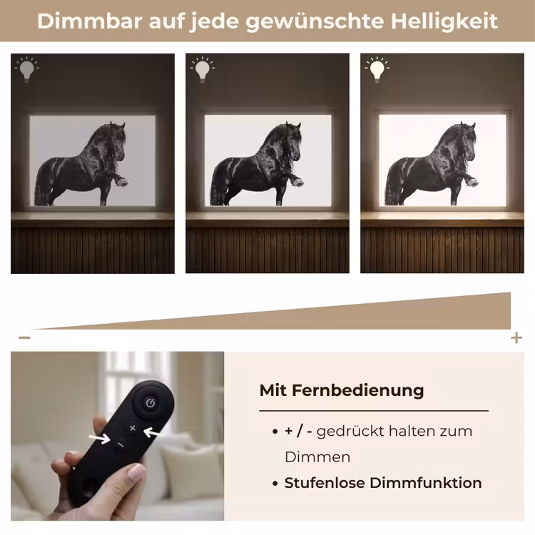 Fries - Hengst - Modern Light Box met batterij (Wandlamp) middel -USP_dimbaarDE