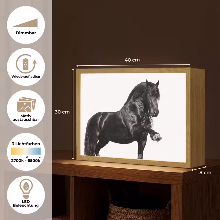 Fries - Hengst - Modern Light Box met batterij (Wandlamp) middel -USP_websiteoverzichtDE