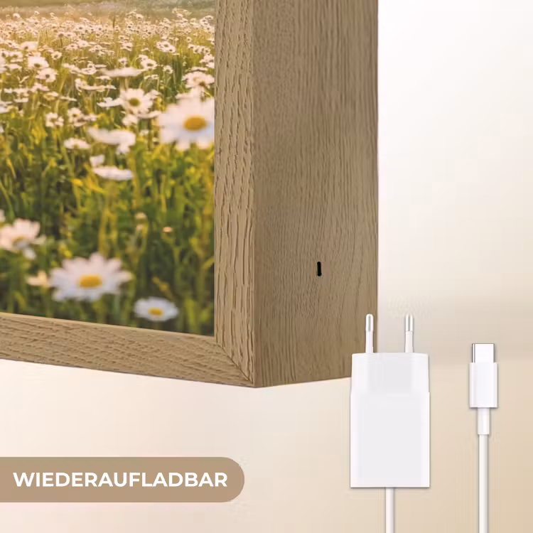 Madelief - Veld - Heuvels - Groen Light Box met batterij (Wandlamp) middel -USP_websiteoplaadbaarDE
