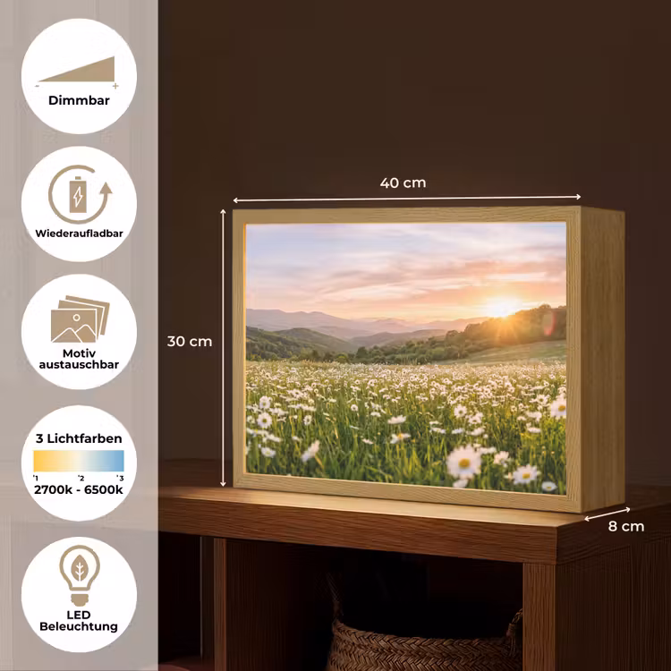 Madelief - Veld - Heuvels - Groen Light Box met batterij (Wandlamp) middel -USP_websiteoverzichtDE
