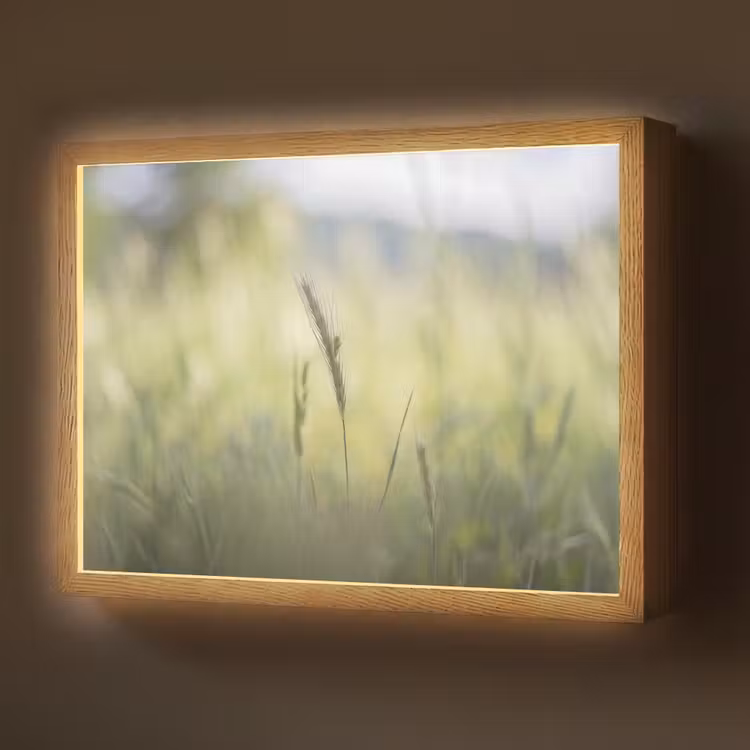 Graan - Aar - Natuur - Groen - Detail Light Box met batterij (Wandlamp) middel -z3d_website