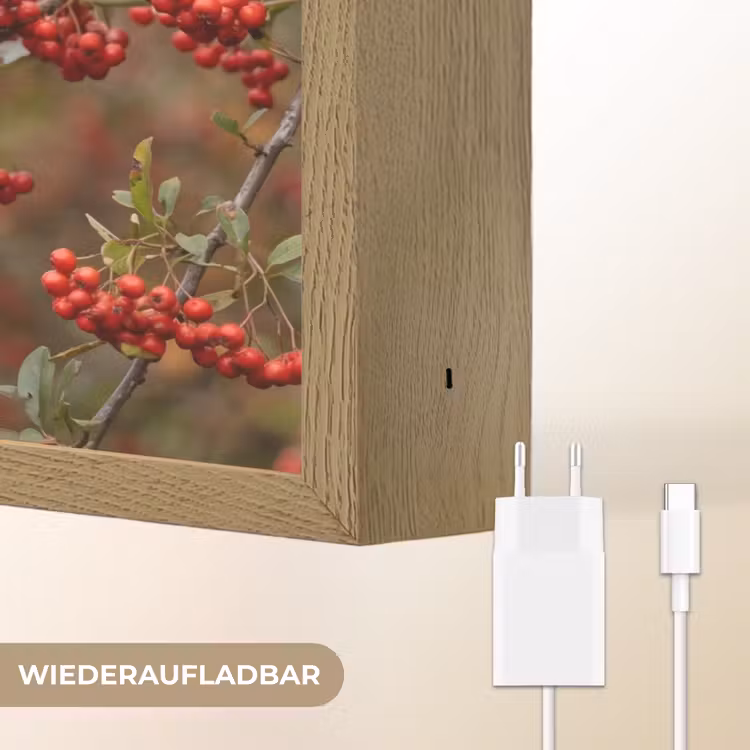Goudvink - Bessen - Herfst - Natuur - Kleurrijk Light Box met batterij (Wandlamp) middel -USP_websiteoplaadbaarDE