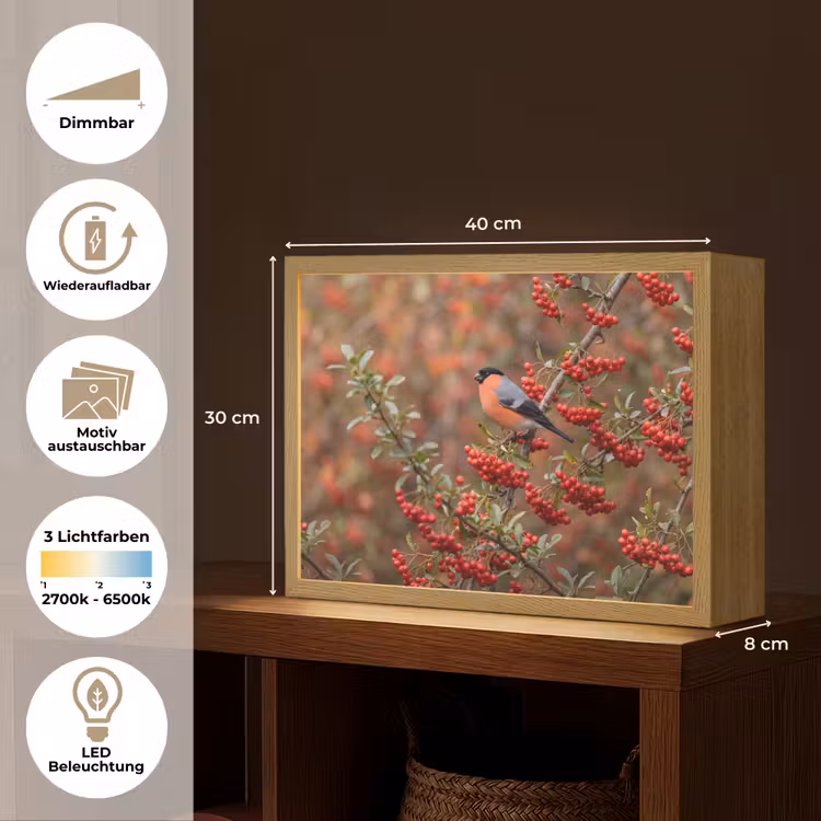 Goudvink - Bessen - Herfst - Natuur - Kleurrijk Light Box met batterij (Wandlamp) middel -USP_websiteoverzichtDE