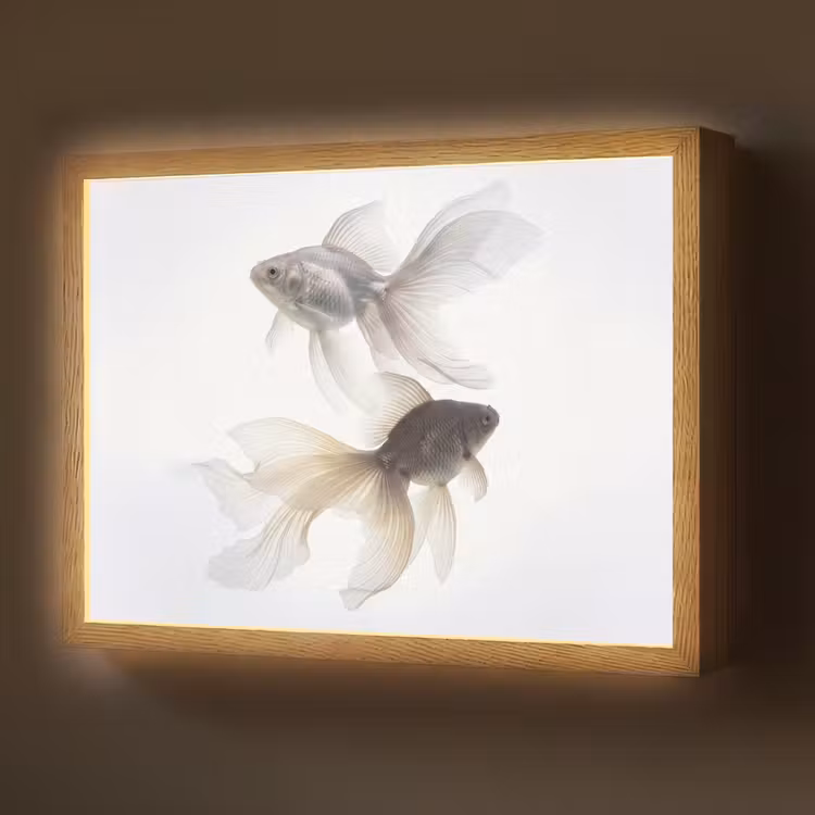 Goudvissen - Modern - Wit Light Box met batterij (Wandlamp) middel -z3d_website