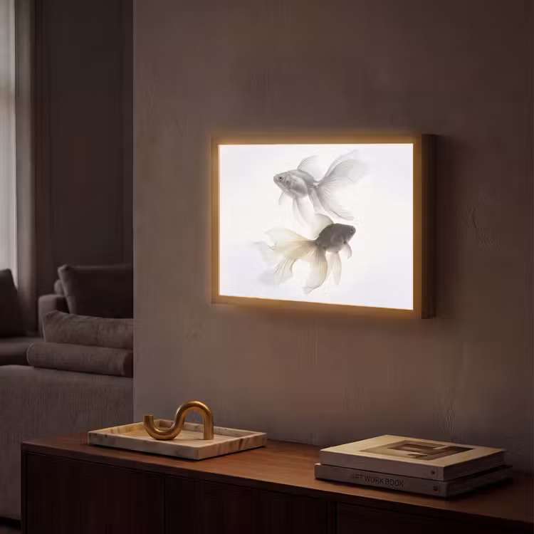 Goudvissen - Modern - Wit Light Box met batterij (Wandlamp) middel -sfeer1