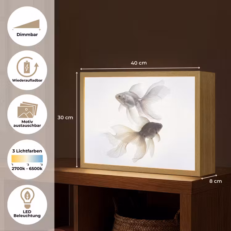 Goudvissen - Modern - Wit Light Box met batterij (Wandlamp) middel -USP_websiteoverzichtDE