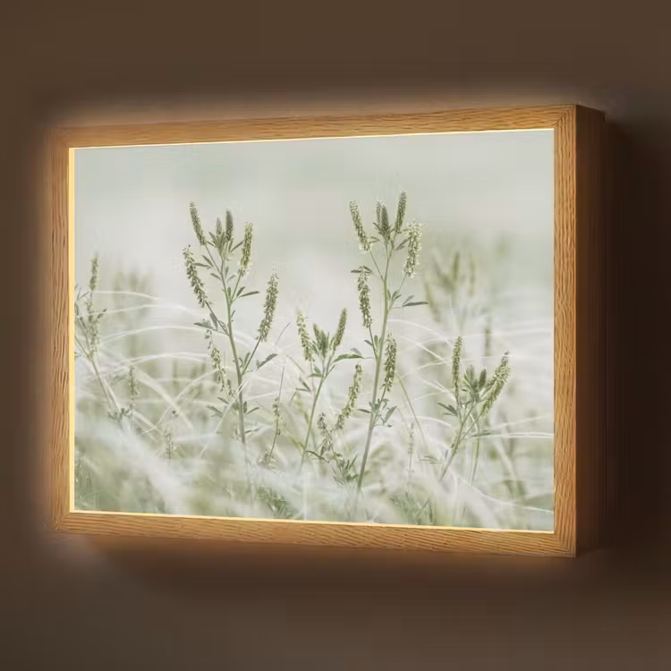Grassen - Minimalistisch - Groen Light Box met batterij (Wandlamp) middel -z3d_website