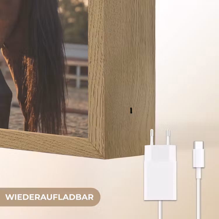 Harmonie - Ruiter - Zon Light Box met batterij (Wandlamp) middel -USP_websiteoplaadbaarDE