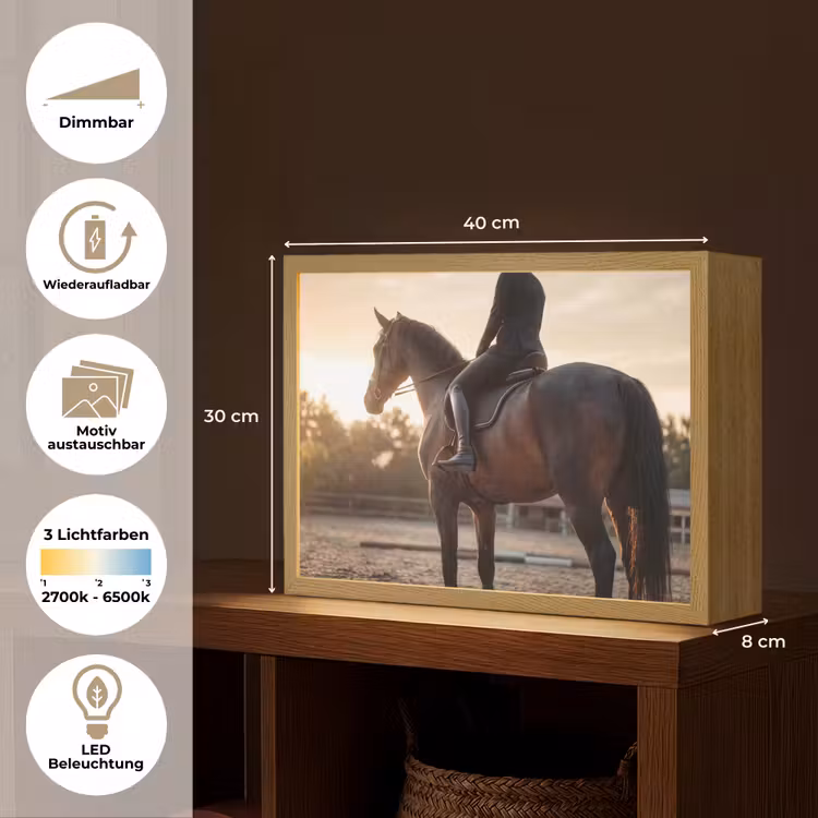 Harmonie - Ruiter - Zon Light Box met batterij (Wandlamp) middel -USP_websiteoverzichtDE
