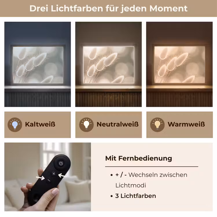 Hazestaartgras - Wit - Zonlicht Light Box met batterij (Wandlamp) middel -USP_lichtkleurDE