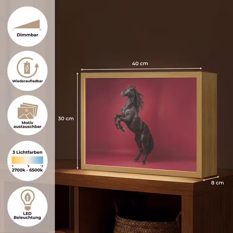 Hengst - Steigert - Rood Light Box met batterij (Wandlamp) middel -USP_websiteoverzichtDE
