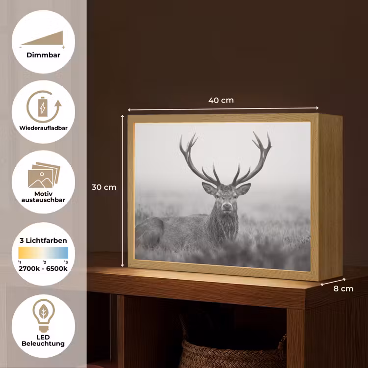 Hert - Mistig - Zwart - Wit Light Box met batterij (Wandlamp) middel -USP_websiteoverzichtDE