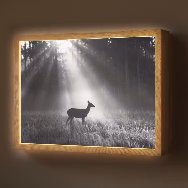 Hert - Bos - Zonnestralen - Zwart-wit - Natuur Light Box met batterij (Wandlamp) middel -z3d_website