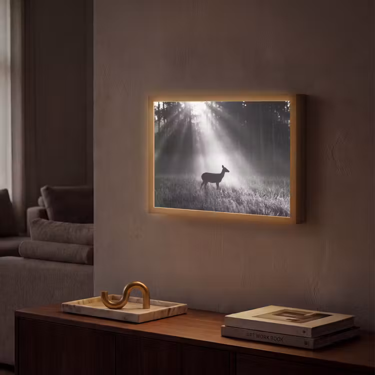 Hert - Bos - Zonnestralen - Zwart-wit - Natuur Light Box met batterij (Wandlamp) middel -sfeer1