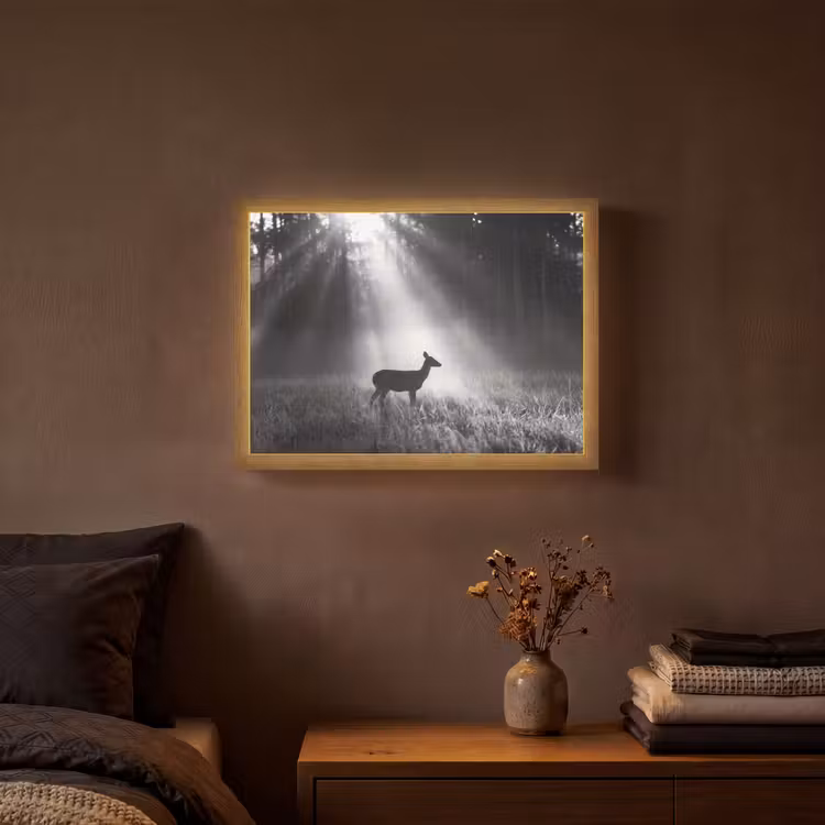 Hert - Bos - Zonnestralen - Zwart-wit - Natuur Light Box met batterij (Wandlamp) middel -sfeer4