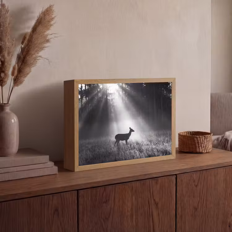 Hert - Bos - Zonnestralen - Zwart-wit - Natuur Light Box met batterij (Wandlamp) middel -sfeer2