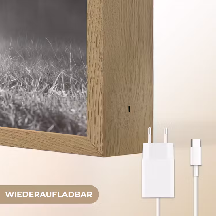 Hert - Bos - Zonnestralen - Zwart-wit - Natuur Light Box met batterij (Wandlamp) middel -USP_websiteoplaadbaarDE