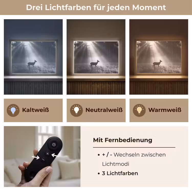 Hert - Bos - Zonnestralen - Zwart-wit - Natuur Light Box met batterij (Wandlamp) middel -USP_lichtkleurDE