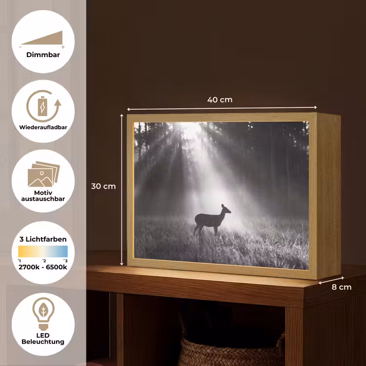 Hert - Bos - Zonnestralen - Zwart-wit - Natuur Light Box met batterij (Wandlamp) middel -USP_websiteoverzichtDE