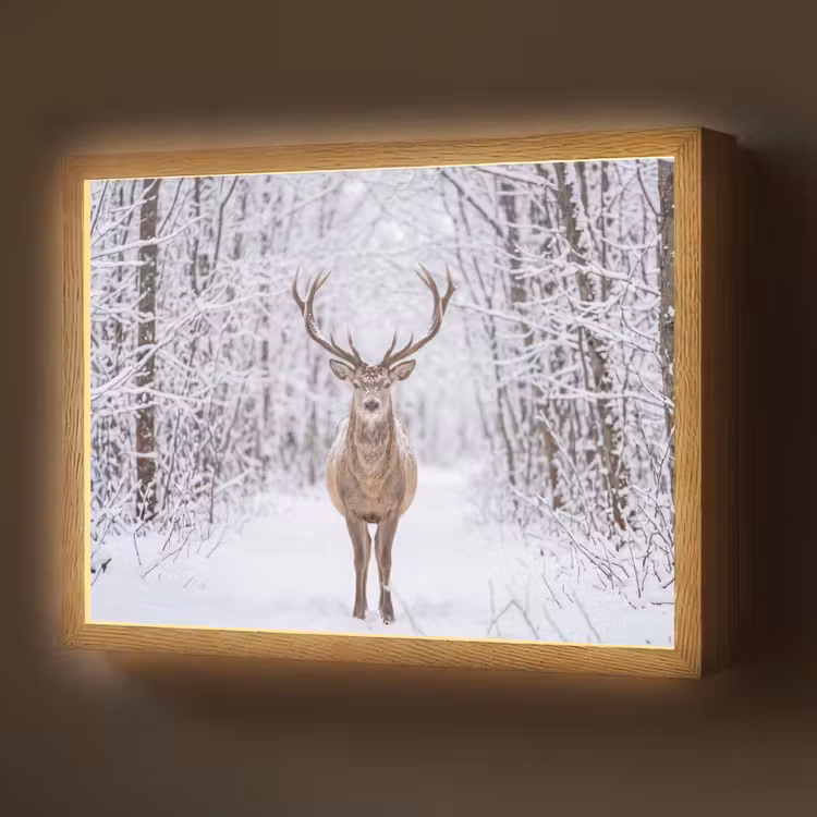 Hert - Winter - Bos - Natuur - Wit Light Box met batterij (Wandlamp) middel -z3d_website