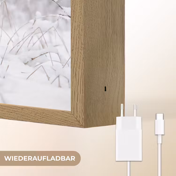 Hert - Sneeuw - Bos - Dieren - Vertederend Light Box met batterij (Wandlamp) middel -USP_websiteoplaadbaarDE