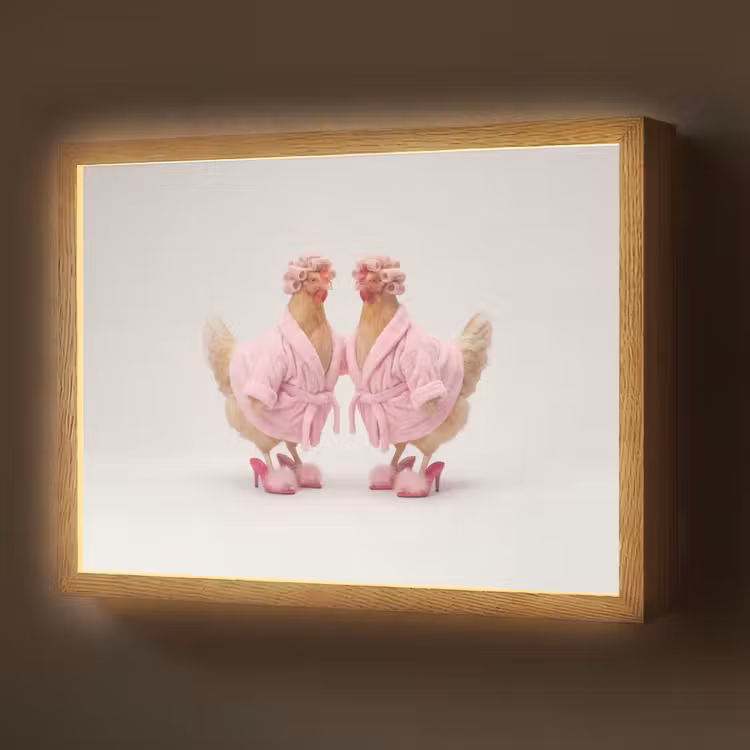Kippen - Badjas - Krukspelden - Hakken Light Box met batterij (Wandlamp) middel -z3d_website