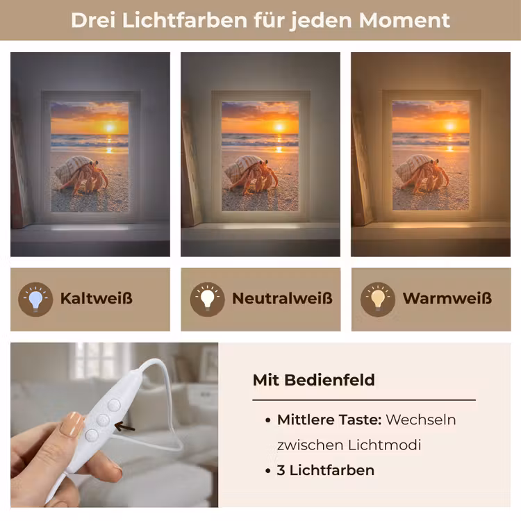 Kreeft - Strand - Natuur - Zonsondergang - Oranje Light Box met kabel (Wandlamp) klein -USP_lichtkleurDE