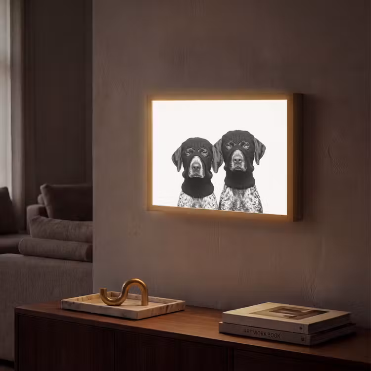 Honden - Bivakmuts - Zwart - wit Light Box met batterij (Wandlamp) middel -sfeer1