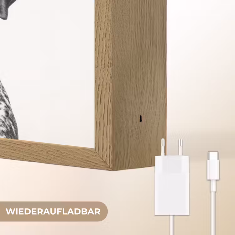 Honden - Bivakmuts - Zwart - wit Light Box met batterij (Wandlamp) middel -USP_websiteoplaadbaarDE