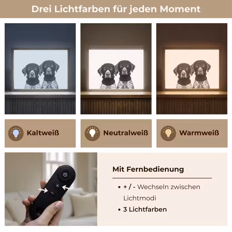 Honden - Bivakmuts - Zwart - wit Light Box met batterij (Wandlamp) middel -USP_lichtkleurDE