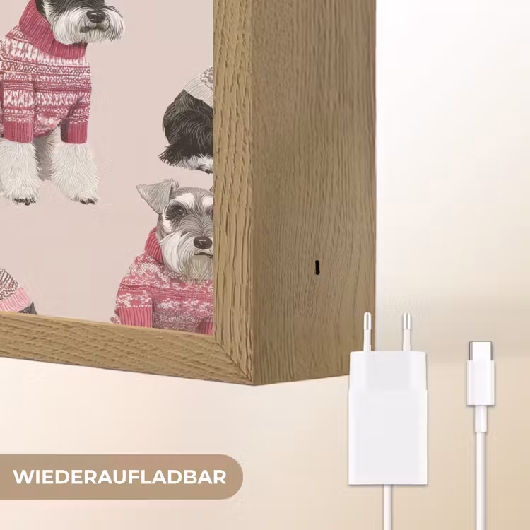 Honden - Truien - Rood Light Box met batterij (Wandlamp) middel 907 -USP_websiteoplaadbaarDE