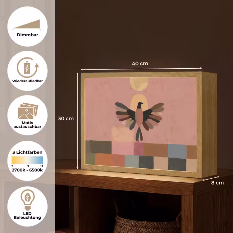 Illustratie - Vogel - Vlakken - Kleurrijk Light Box met batterij (Wandlamp) middel -USP_websiteoverzichtDE