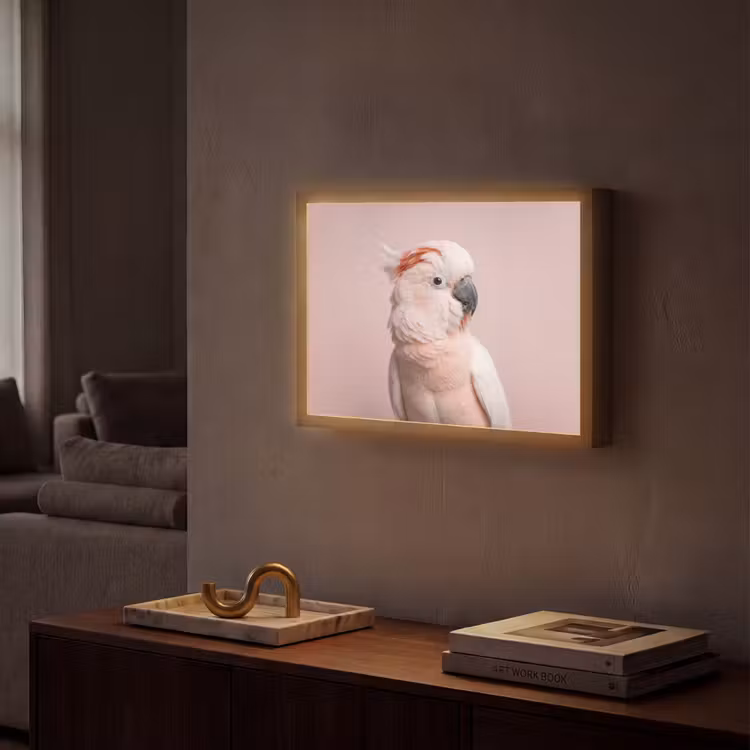 Kaketoe - Portret - Roze Light Box met batterij (Wandlamp) middel -sfeer1