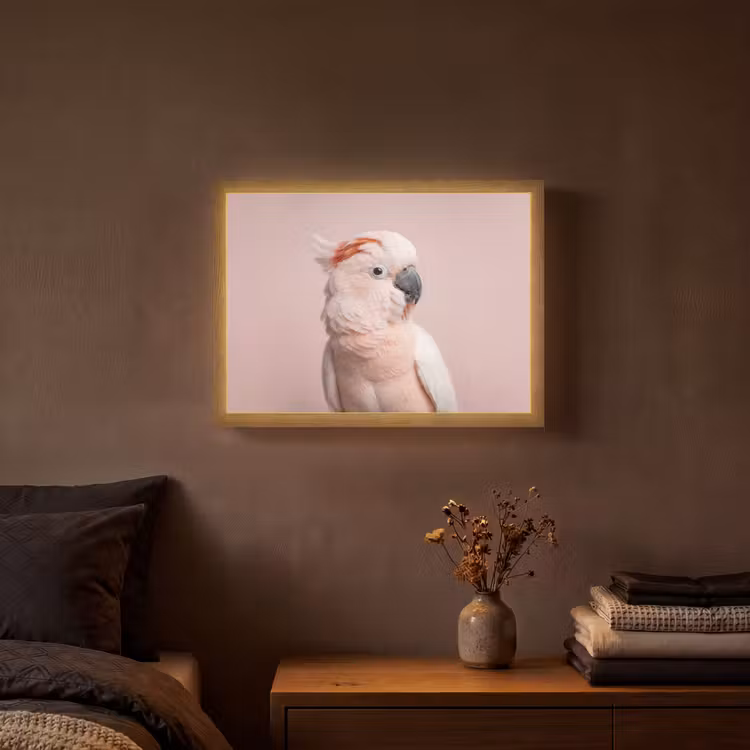 Kaketoe - Portret - Roze Light Box met batterij (Wandlamp) middel -sfeer4