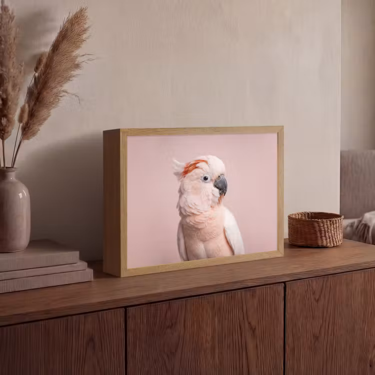 Kaketoe - Portret - Roze Light Box met batterij (Wandlamp) middel -sfeer2