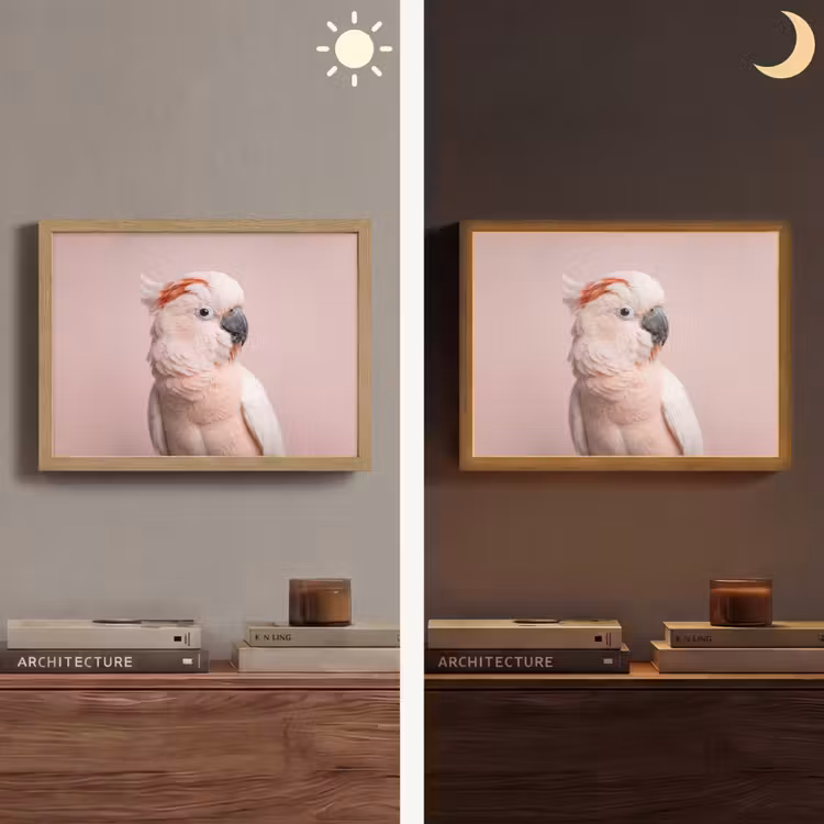 Kaketoe - Portret - Roze Light Box met batterij (Wandlamp) middel -sfeer3