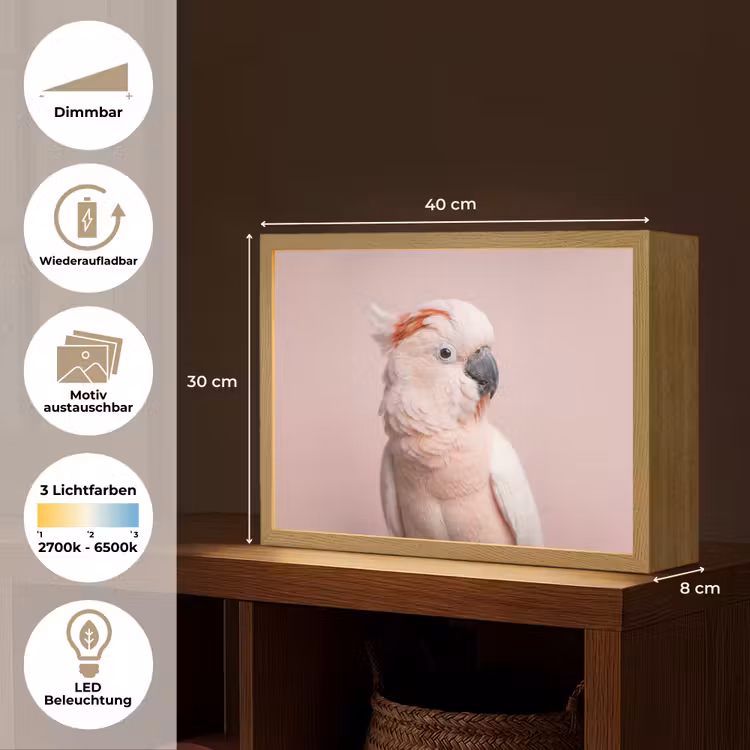 Kaketoe - Portret - Roze Light Box met batterij (Wandlamp) middel -USP_websiteoverzichtDE