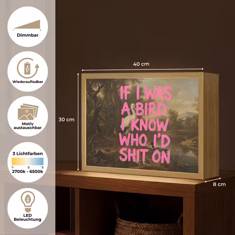 Klassiek - Humor - Roze Light Box met batterij (Wandlamp) middel -USP_websiteoverzichtDE