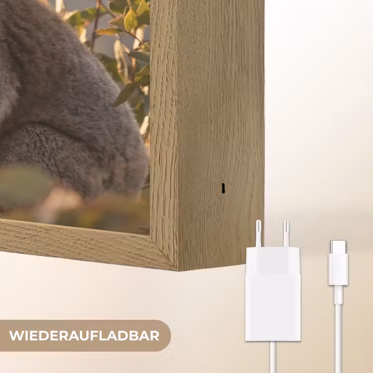 Koala - Bladeren - Ochtendlicht Light Box met batterij (Wandlamp) middel -USP_websiteoplaadbaarDE
