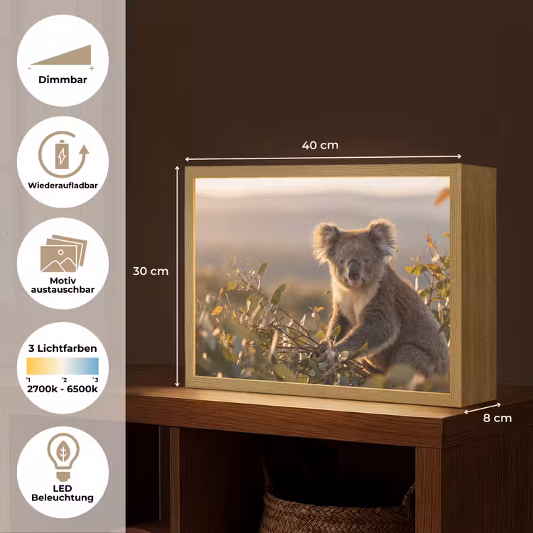 Koala - Bladeren - Ochtendlicht Light Box met batterij (Wandlamp) middel -USP_websiteoverzichtDE