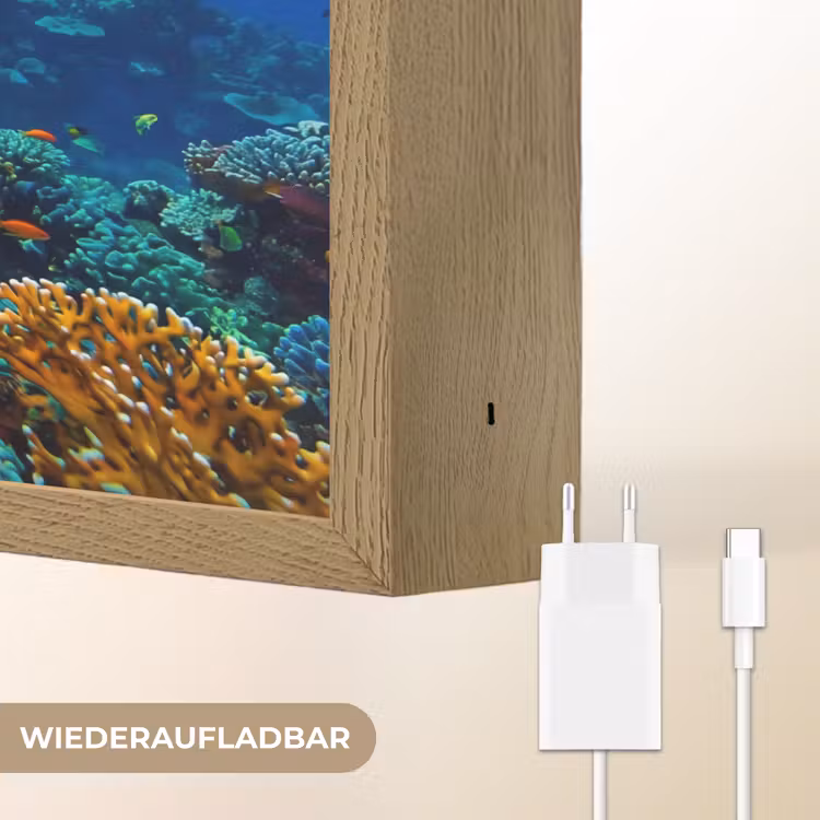 Koraal - Vissen - Oceaan - Natuur - Kleurrijk Light Box met batterij (Wandlamp) middel -USP_websiteoplaadbaarDE